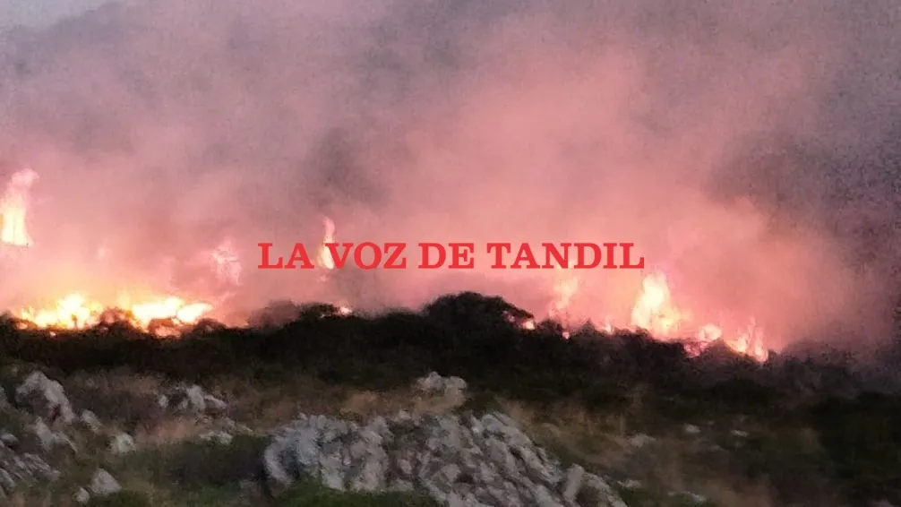 Importante incendio de pastos en el Cerro de la Cruz