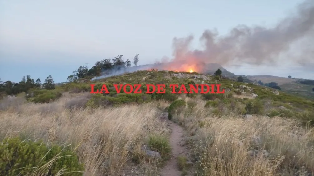 Importante incendio de pastos en el Cerro de la Cruz