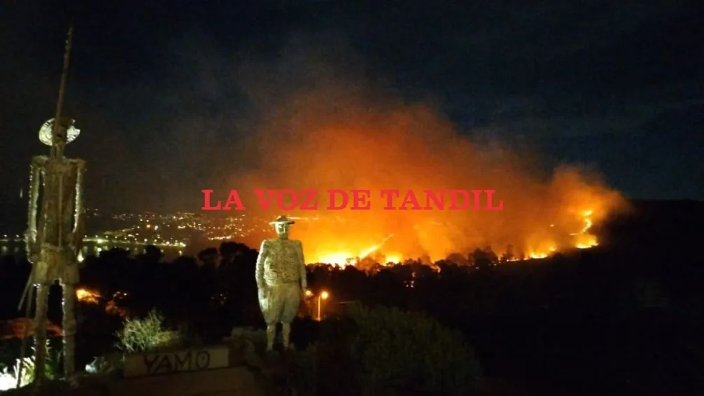 Importante incendio de pastos en el Cerro de la Cruz