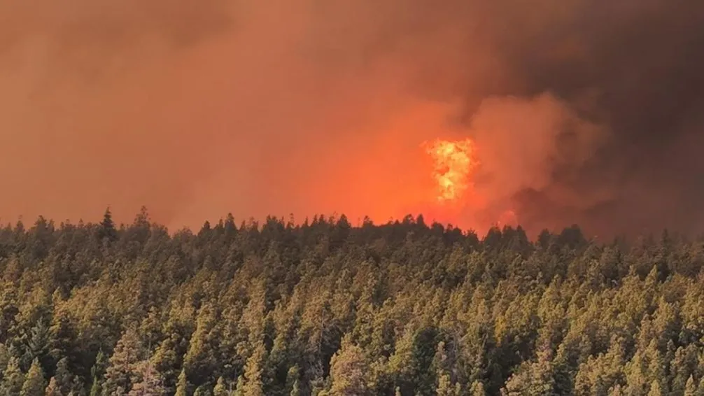 Incendios en el sur: ya hay más de 18.000 hectáreas consumidas por el fuego