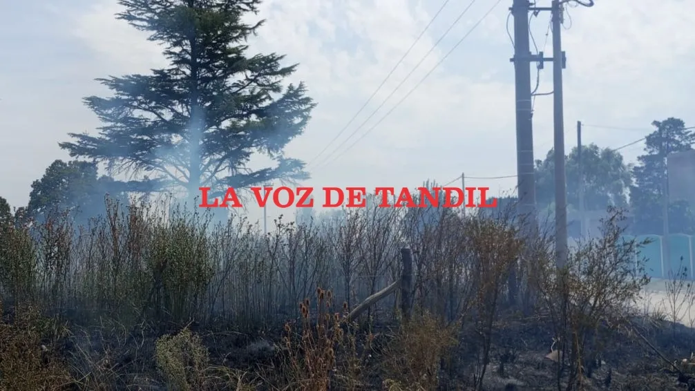 Alarma por incendio en baldío de Figueroa y Beltrán 