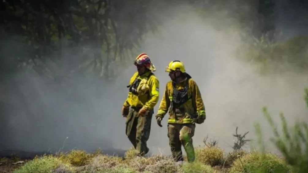 Incendio en el Parque Nacional Lanín: 15.200 hectáreas afectadas