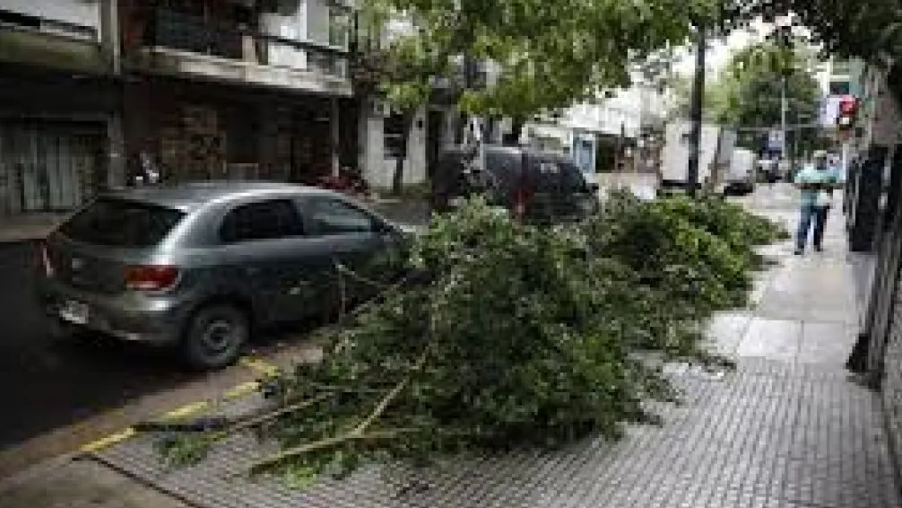 Un fuerte temporal causó destrozos en Buenos Aires y deja a más de 100.000 usuarios sin luz