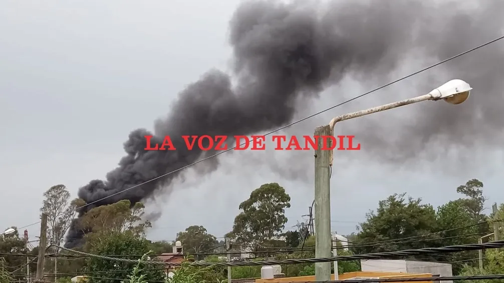 Incendio en una aceitera sobre Ruta Nacional 226, a la altura de La Blanqueada