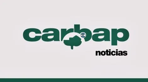 CARBAP espera que con la aprobación de la Ley Bases "el Presidente pueda concretar sus promesas de campaña"