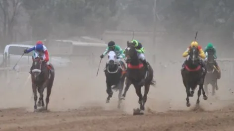 Nueve carreras para este jueves en el Hipódromo de Tandil 