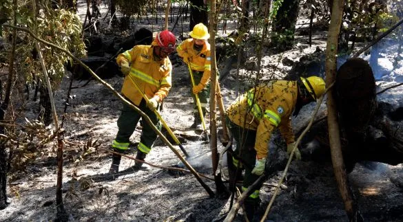 Mantienen Guardia de Ceniza en el cerro y la situación se normaliza en la zona del dique