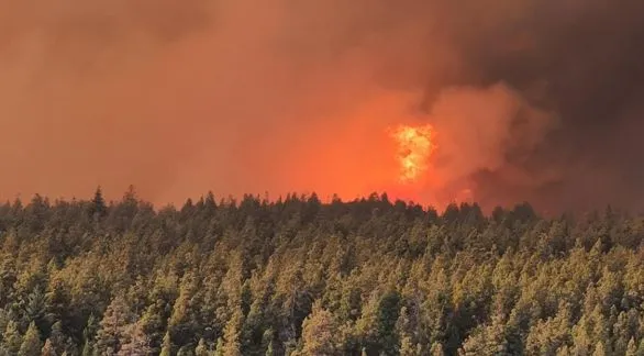 Incendios en el sur: ya hay más de 18.000 hectáreas consumidas por el fuego