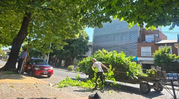 Cambios de recorrido del transporte por tareas de poda en av. Colón