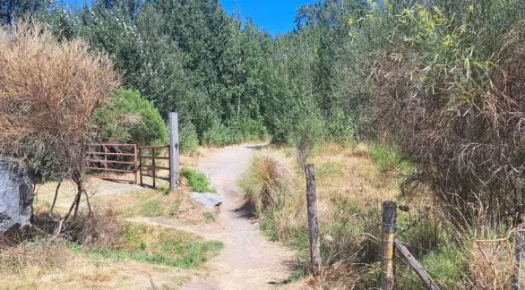 Cavas de Cerro Leones: menos control policial, más ingresos y baja en las ventas de la zona 