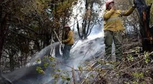 Buenas noticias para El Bolsón: cuatro de los seis focos ya están en fase de enfriamiento