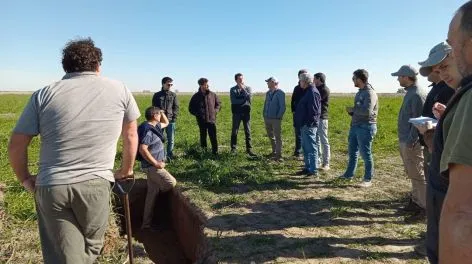 Informe Aapresid: Recorrida a campo para repasar estrategias de recuperación de suelos salinos